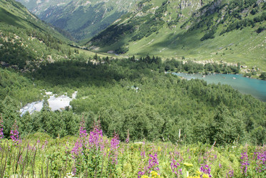 Similar image 22275058