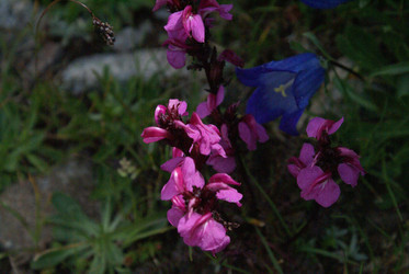 Similar image 22275066