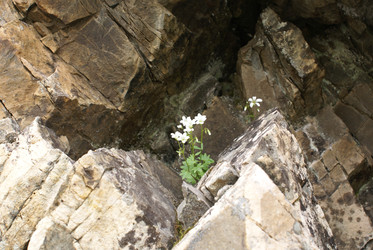 Similar image 22275068