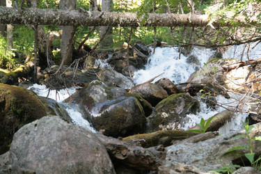 Similar image 22275075