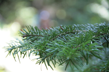 Similar image 22275076