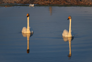 Similar image 22251800