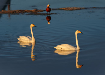 Similar image 22251801