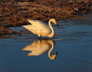 Similar image 22251802