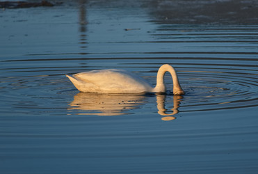 Similar image 22251804