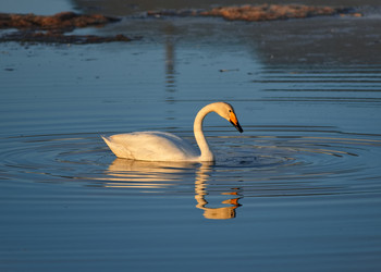 Similar image 22251805