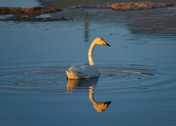 Similar image 22251806