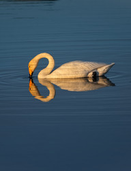 Similar image 22251807