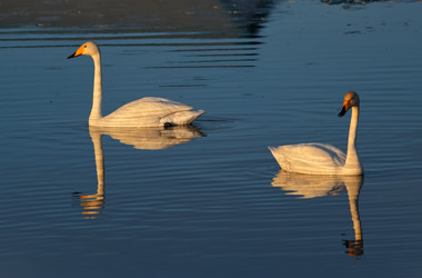 Similar image 22251809