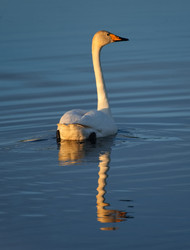 Similar image 22251810