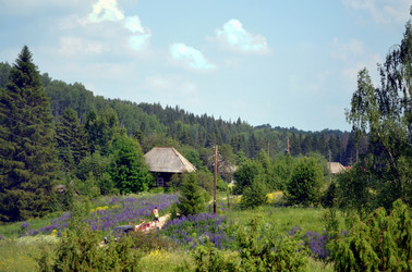 Similar image 22273262