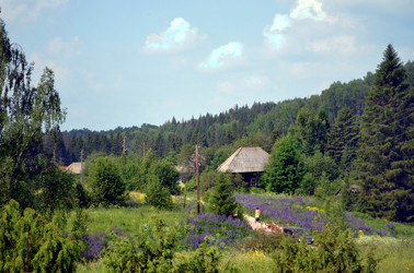 Similar image 22273263