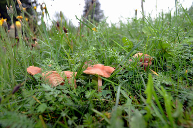 Similar image 22273267