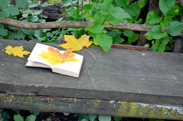 Similar image 22273268