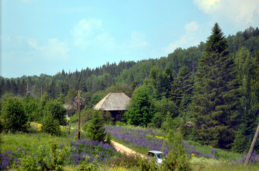 Similar image 22273269