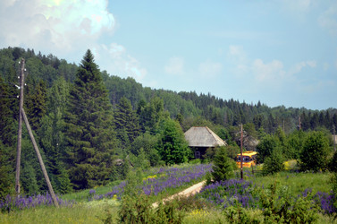 Similar image 22273270