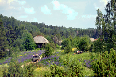 Similar image 22273272