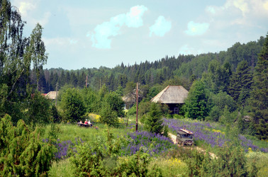 Similar image 22273273