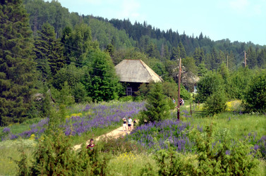 Similar image 22273843