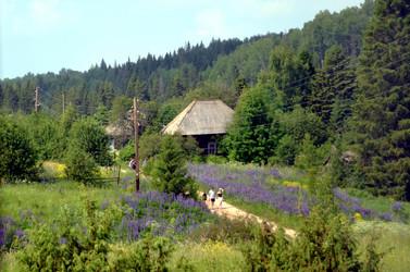 Similar image 22273844