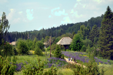 Similar image 22273845