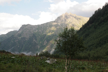 Similar image 22275079