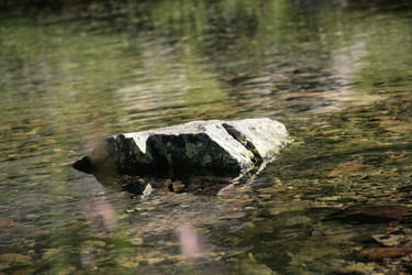 Similar image 22275082