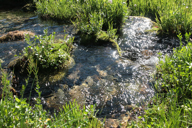 Similar image 22275084