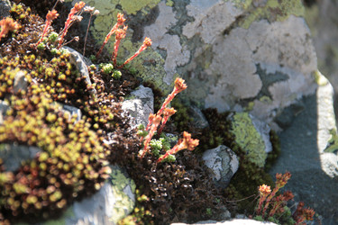 Similar image 22275086