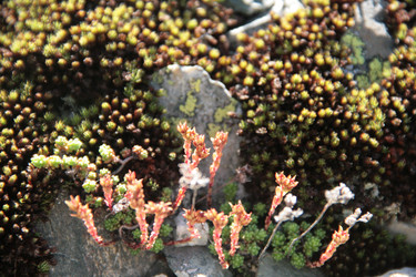 Similar image 22275087