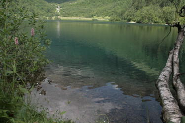 Similar image 22275093