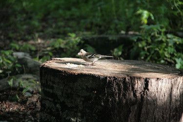 Similar image 22275094