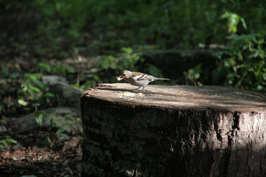 Similar image 22275095