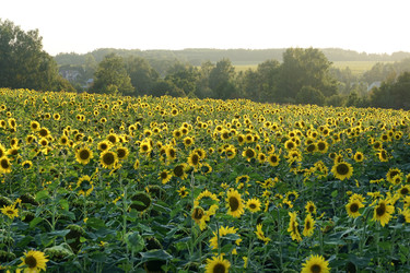 Similar image 22248700