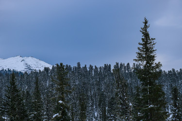 Similar image 22248715