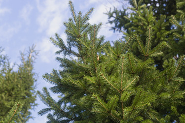 Similar image 22248828