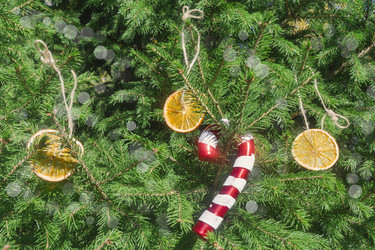 Similar image 22248831