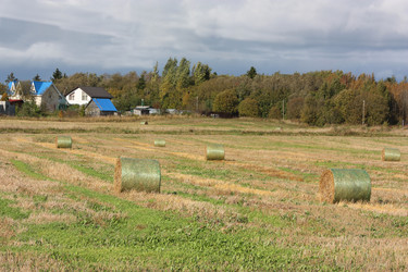 Similar image 22251972