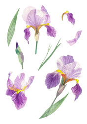 Similar image 22252155