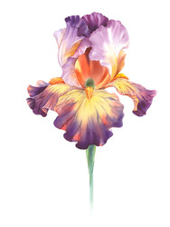 Similar image 22252161