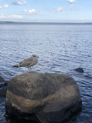 Similar image 22251114