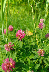 Similar image 22285571