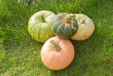 Similar image 22248770