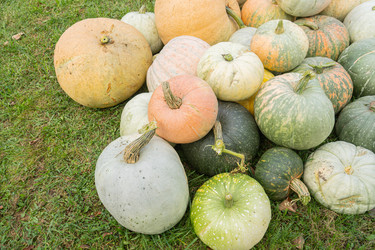 Similar image 22250828