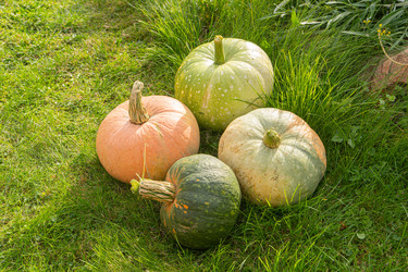 Similar image 22248771