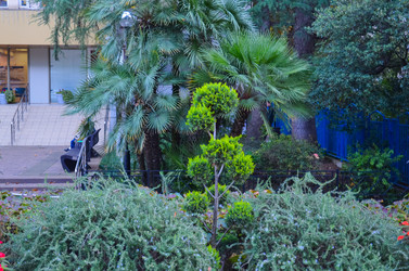 Similar image 22259802