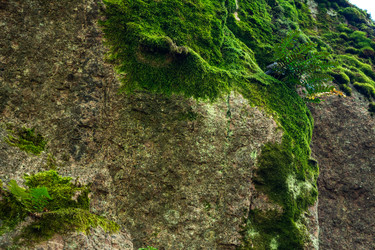 Similar image 22273081