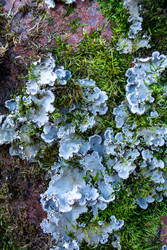 Similar image 22251458