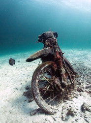 Similar image 22250802