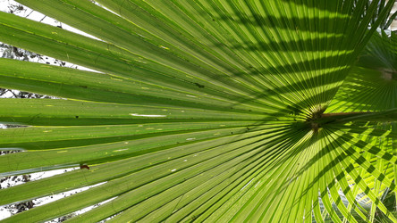 Similar image 22251462